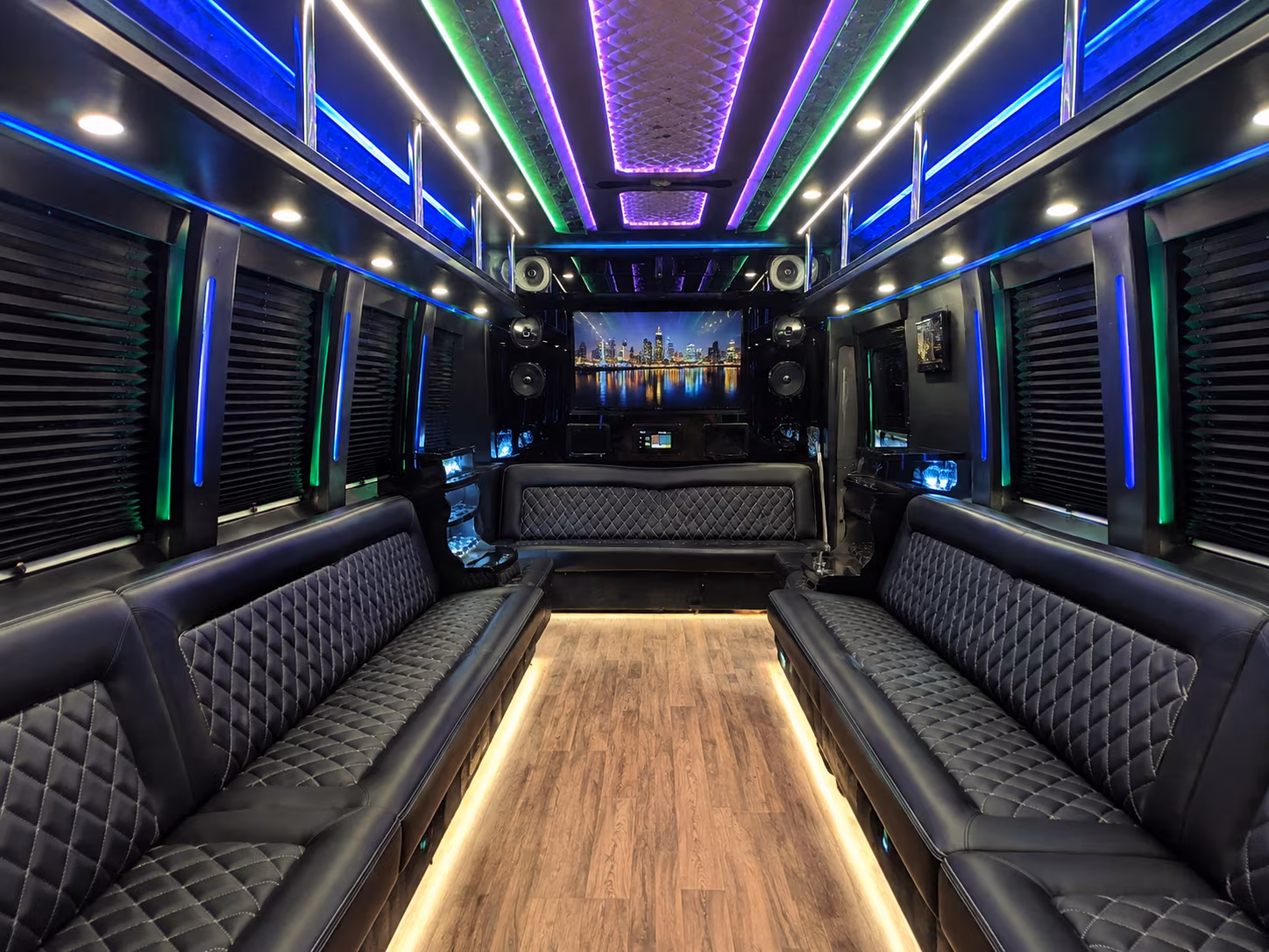 buffalo 25 passenger party bus interior