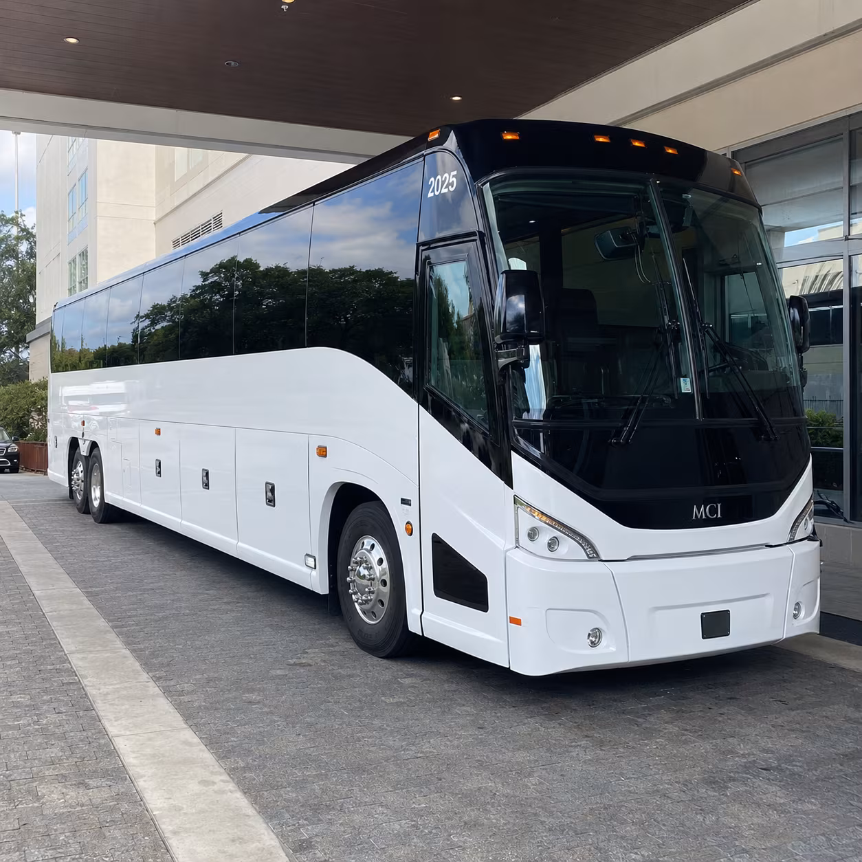 buffalo 54 passenger charter bus