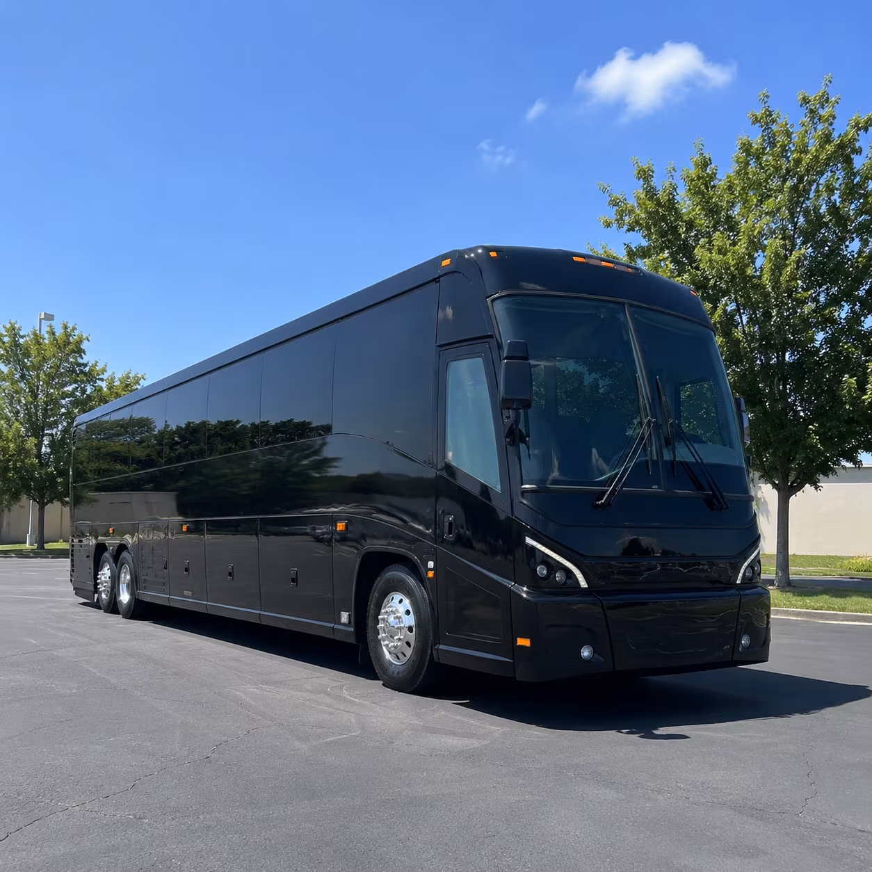 buffalo 56 passenger charter bus