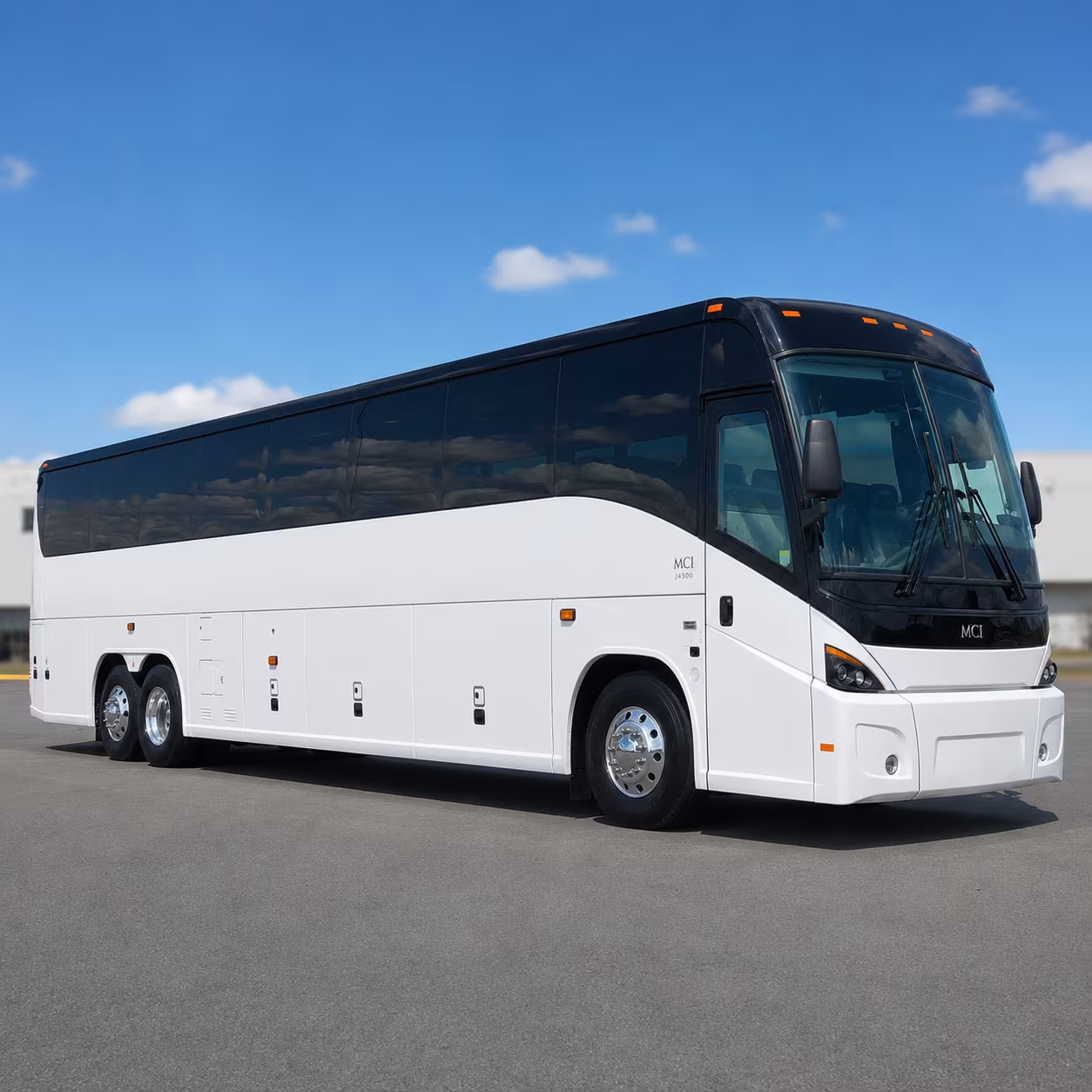 buffalo bachelor bachelorette transportation