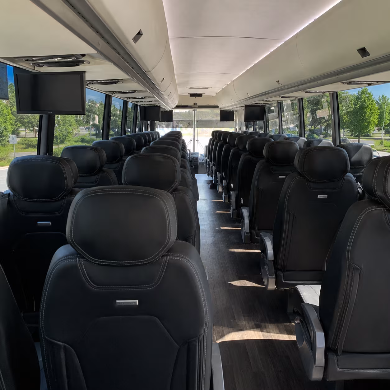 buffalo birthday party transportation onboard seating