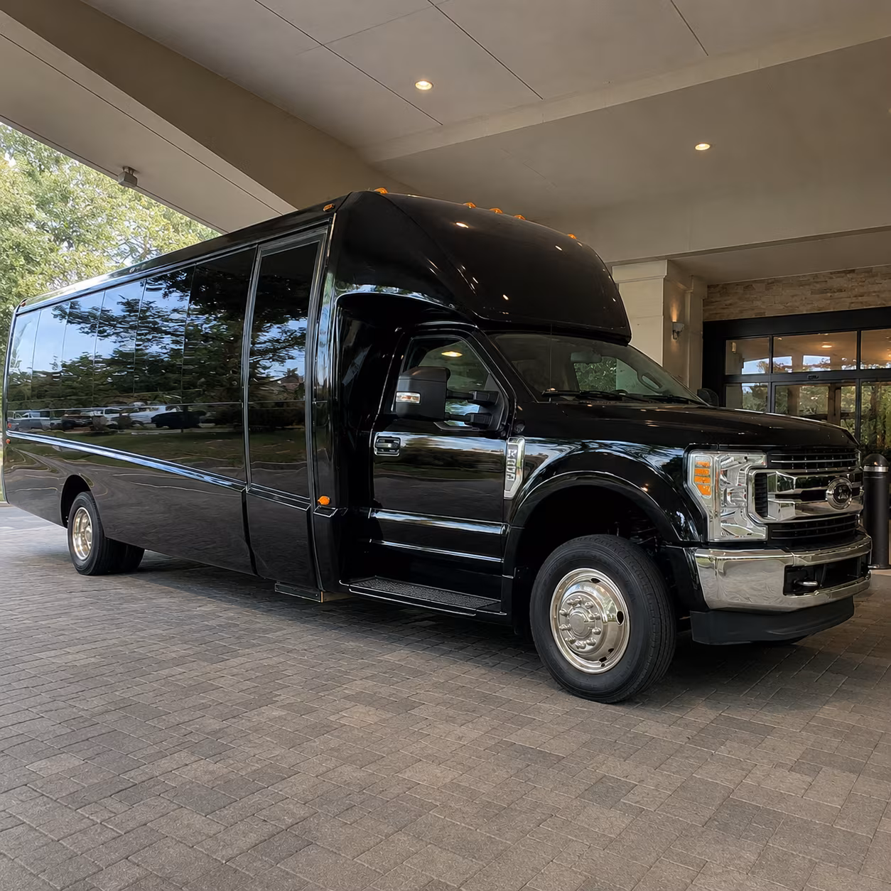 buffalo birthday party transportation