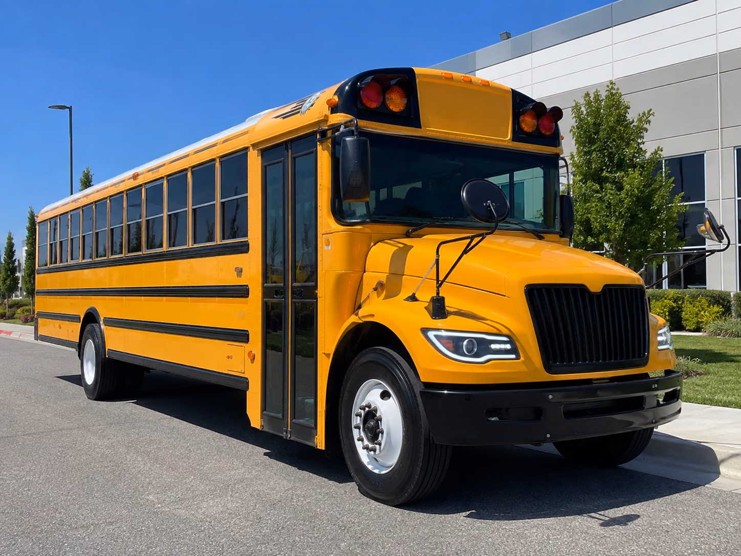 buffalo school bus