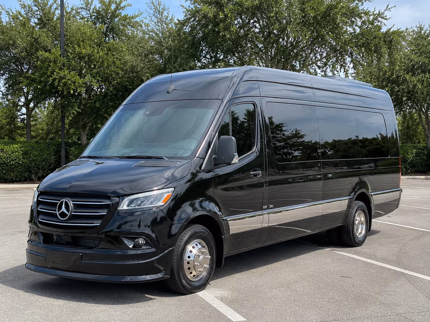 buffalo sprinter van with driver